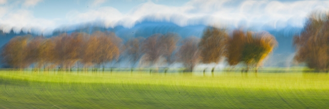 Kuse Referenzen Natur