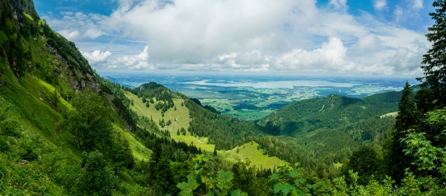 Kuse Referenzen Natur