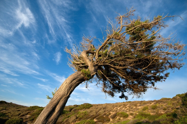 Kuse Referenzen Natur