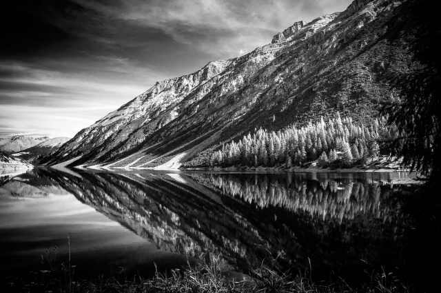 Kuse Referenzen Natur